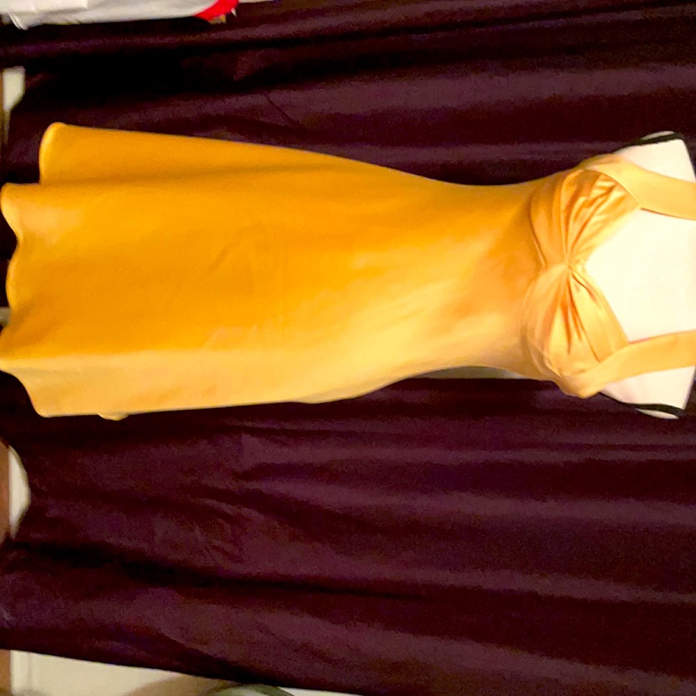 Calvin Klein Summer Sunshine Dress